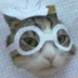 Goggles cat logo