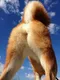 we're mooning logo