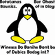 Bob the Confused Penguin logo