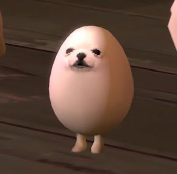 EGGDOG