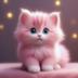 cutecat logo