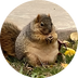 NUTZ logo