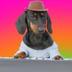 Synthesizer Dog logo
