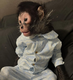 MONKEY TAKEN BY POLICE logo