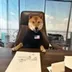 UNITED STATES DOGE logo