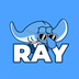 Ray on Sui logo