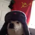 Communist Doge logo
