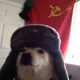 Communist Doge logo