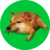 DROG logo