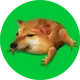DROG logo