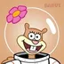 Sandy Cheeks logo