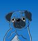Puggy Sui logo