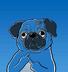 Puggy Sui logo