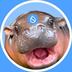 BABY HIPPO logo