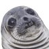 Awkard Seal logo