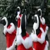 Santa Penguin logo