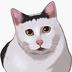HUH Cat logo