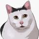 HUH Cat logo