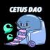 Cetus DAO logo
