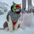 Gary The Ski Cat logo