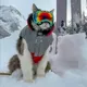 Gary The Ski Cat logo