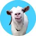 Goat On Sui logo