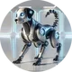 AI DOGE SUI logo