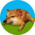 Drog logo