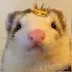 Floofnoodles logo