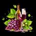 Shiraz logo