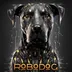 ROBODOG logo