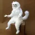 Munky Cat logo