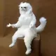 Munky Cat logo