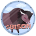 BISON ON SUI logo