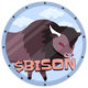 BISON ON SUI logo