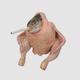 Smoking Chicken Fish logo