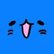 BUB CAT logo