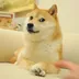 The Doge NFT logo