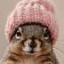 WIF PNUT logo