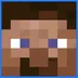 STEVE STEVE logo