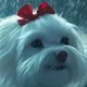 Ruby Floof logo