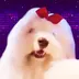 Priscila The Dancing Dog logo