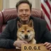 OFFICIAL DOGE logo