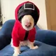 Squid dog logo