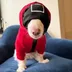 Squid dog logo