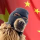 CHINESE SKI MASK DOG logo