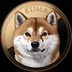Kuma logo