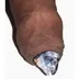 fishdick logo