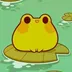 Lily The Frog logo