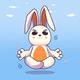 HopBunnyonsui logo